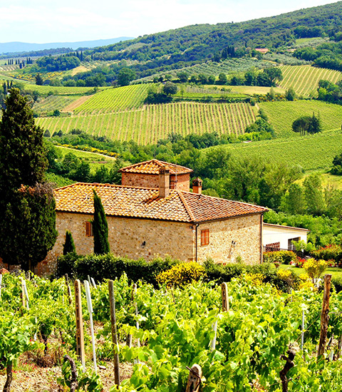 aziende agricole in vendita in umbria